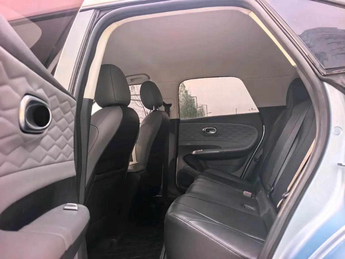 2024 DongFeng Nammi 01 BEV 42.3KWH,autocango,china used car exporter,china ev exporter,chinese used car exporter,chinese used ev exporter