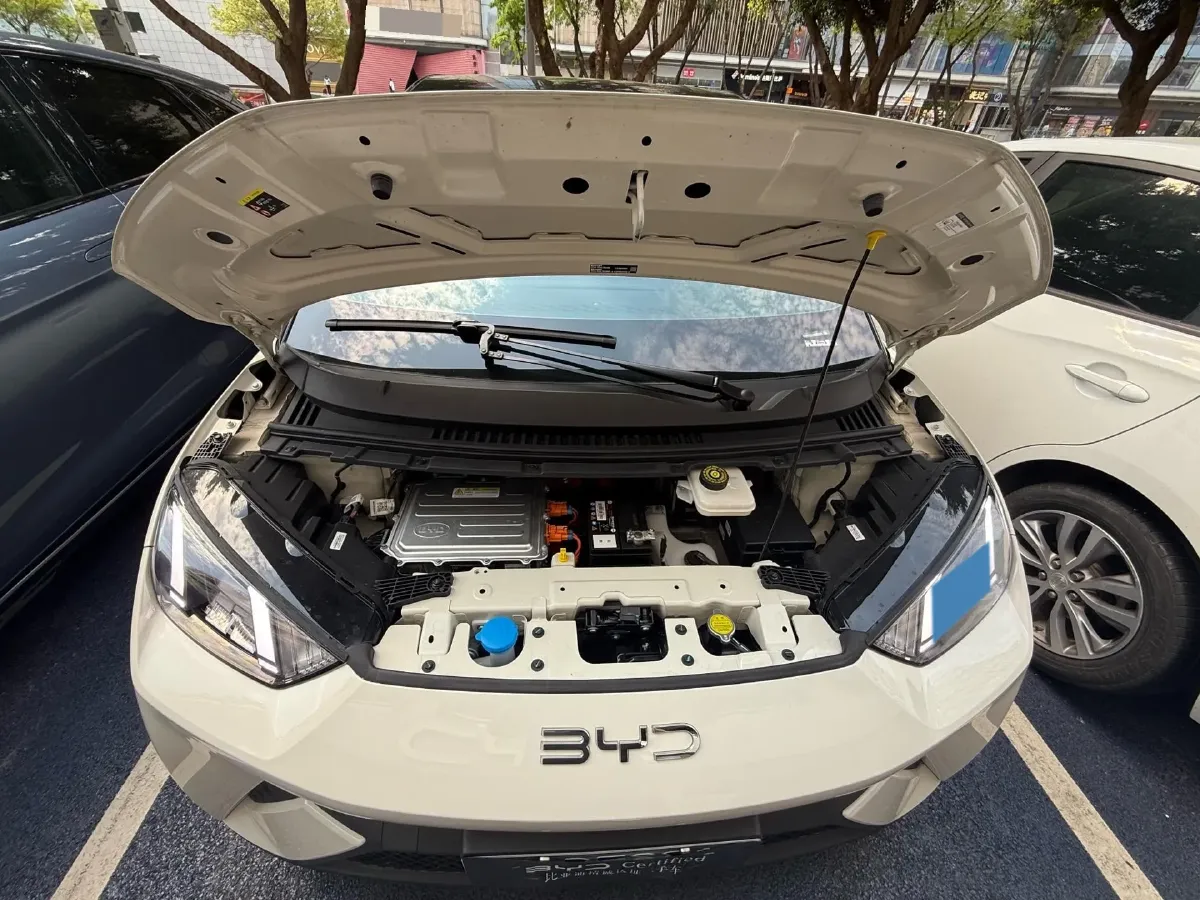 2025 BYD Seagull BEV 30.08KWH,autocango,china used car exporter,china ev exporter,chinese used car exporter,chinese used ev exporter