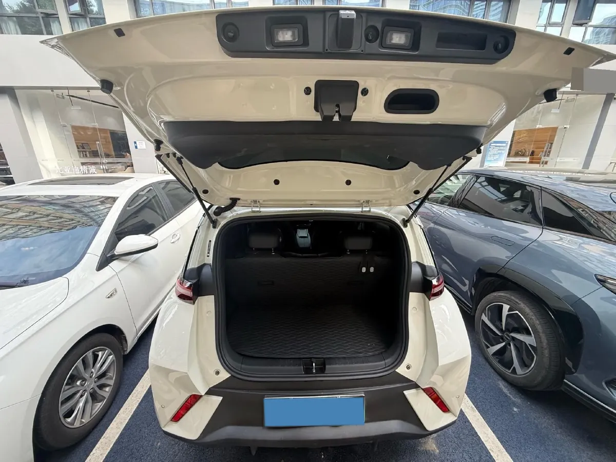 2025 BYD Seagull BEV 30.08KWH,autocango,china used car exporter,china ev exporter,chinese used car exporter,chinese used ev exporter