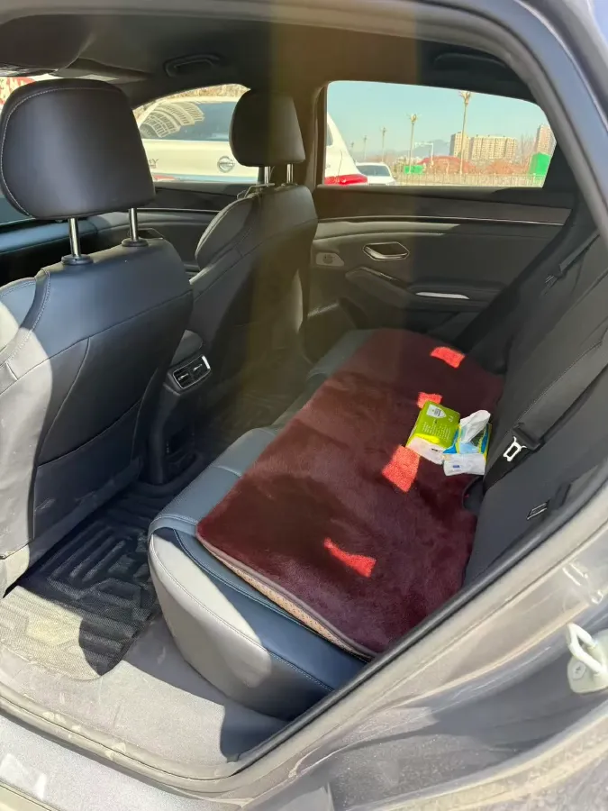 2024 BYD QinL 1.5L 101HP L4 E-CVT PHEV 10.08KWH,autocango,china used car exporter,china ev exporter,chinese used car exporter,chinese used ev exporter