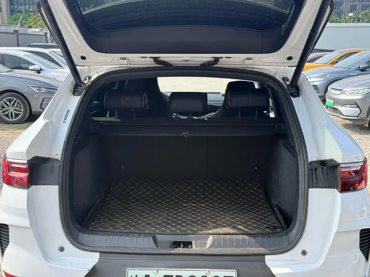 2021 BYD Qin BEV 53.56KWH,autocango,china used car exporter,china ev exporter,chinese used car exporter,chinese used ev exporter