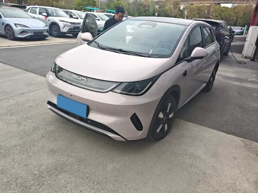 2025 BYD Dolphin BEV 45.12KWH,autocango,china used car exporter,china ev exporter,chinese used car exporter,chinese used ev exporter