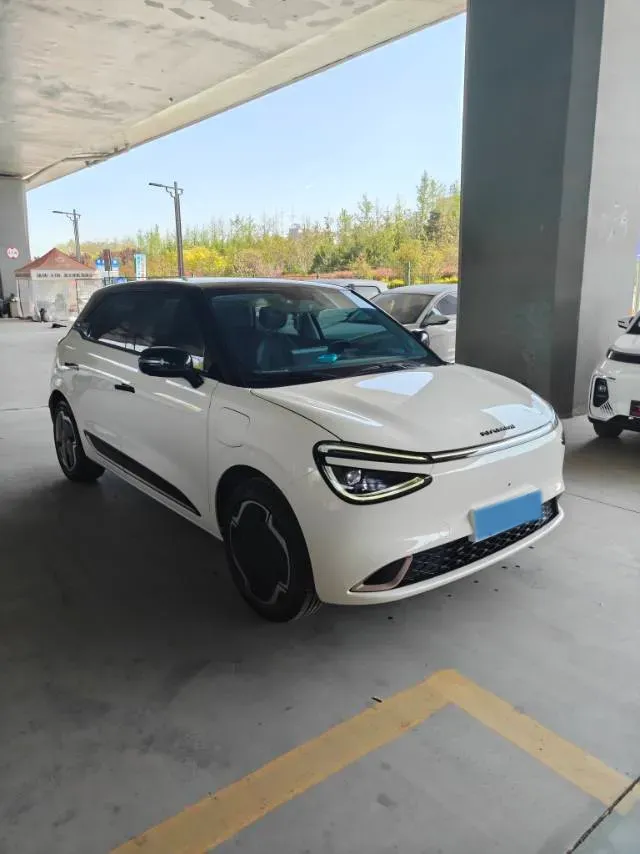 2024 DongFeng eπ 01 BEV 31.45KWH,autocango,china used car exporter,china ev exporter,chinese used car exporter,chinese used ev exporter