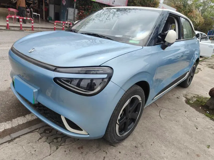 2024 DongFeng Nammi 01 BEV 42.3KWH,autocango,china used car exporter,china ev exporter,chinese used car exporter,chinese used ev exporter