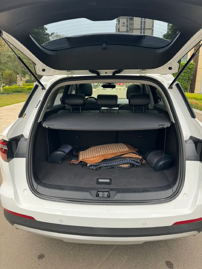 2021 BYD Song 1.5T 160HP L4 6DCT,autocango,china used car exporter,china ev exporter,chinese used car exporter,chinese used ev exporter