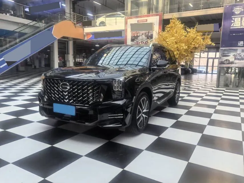 2024 GAC Trumpchi GS8 2.0T 252HP L4 8AT,autocango,china used car exporter,china ev exporter,chinese used car exporter,chinese used ev exporter