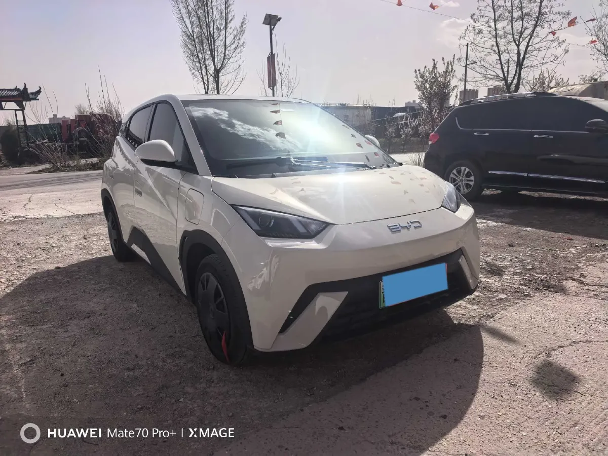 2024 BYD Seagull BEV 30.08KWH,autocango,china used car exporter,china ev exporter,chinese used car exporter,chinese used ev exporter