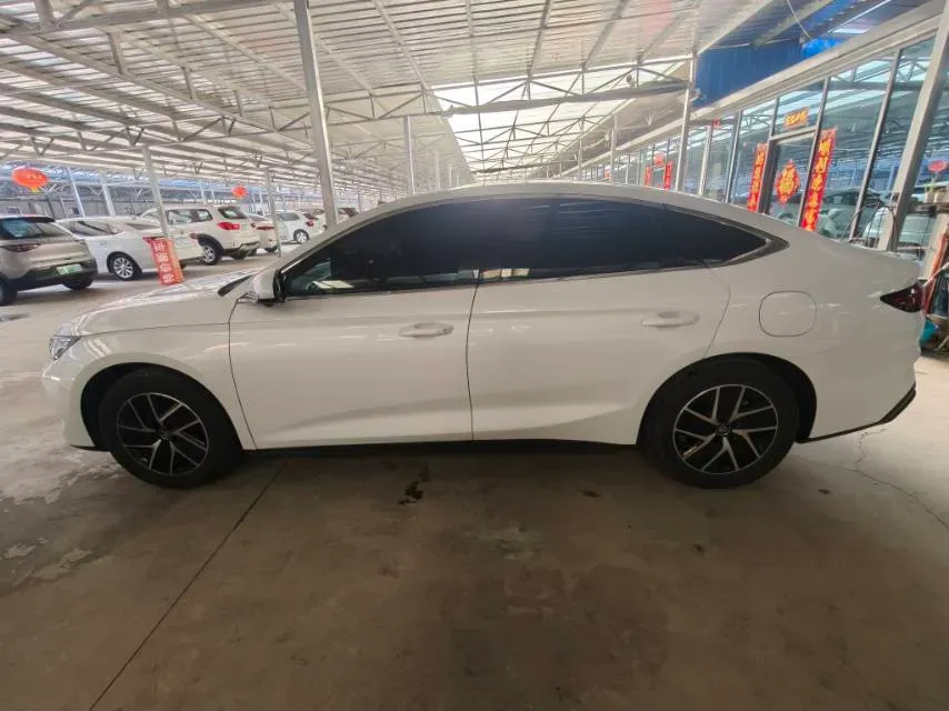 2024 BYD QinL 1.5L 101HP L4 E-CVT PHEV 15.87KWH,autocango,china used car exporter,china ev exporter,chinese used car exporter,chinese used ev exporter