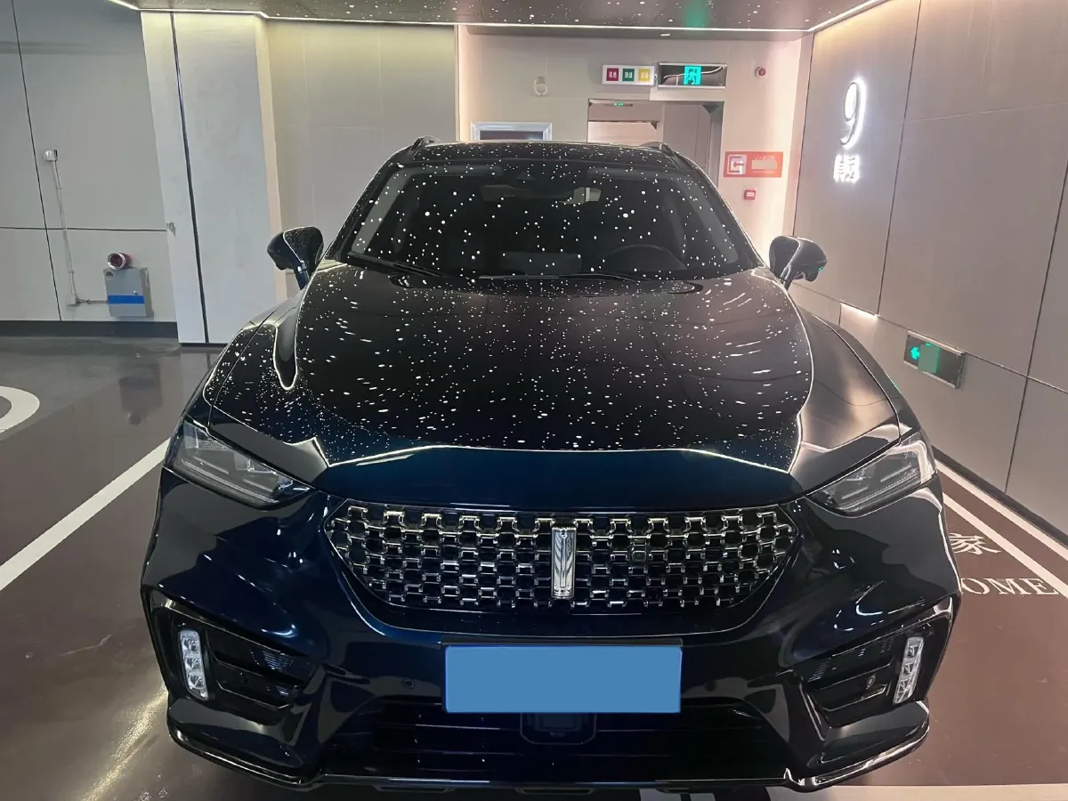 2020 WEY VV7 2.0T 227HP L4 7DCT,autocango,china used car exporter,china ev exporter,chinese used car exporter,chinese used ev exporter