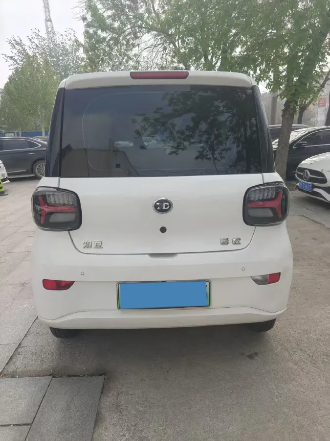 2024 ZD Rainbow BEV 17.3KWH,autocango,china used car exporter,china ev exporter,chinese used car exporter,chinese used ev exporter
