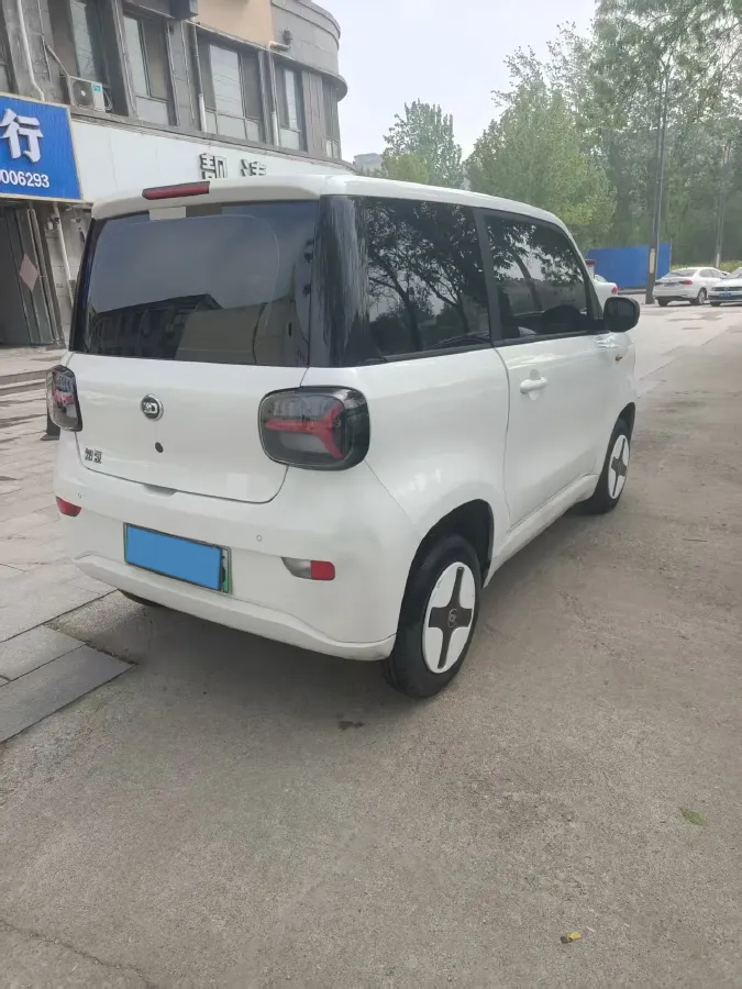 2024 ZD Rainbow BEV 17.3KWH,autocango,china used car exporter,china ev exporter,chinese used car exporter,chinese used ev exporter