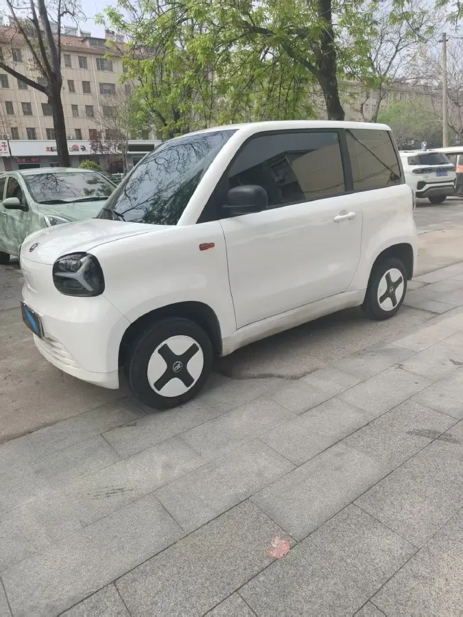 2024 ZD Rainbow BEV 17.3KWH,autocango,china used car exporter,china ev exporter,chinese used car exporter,chinese used ev exporter