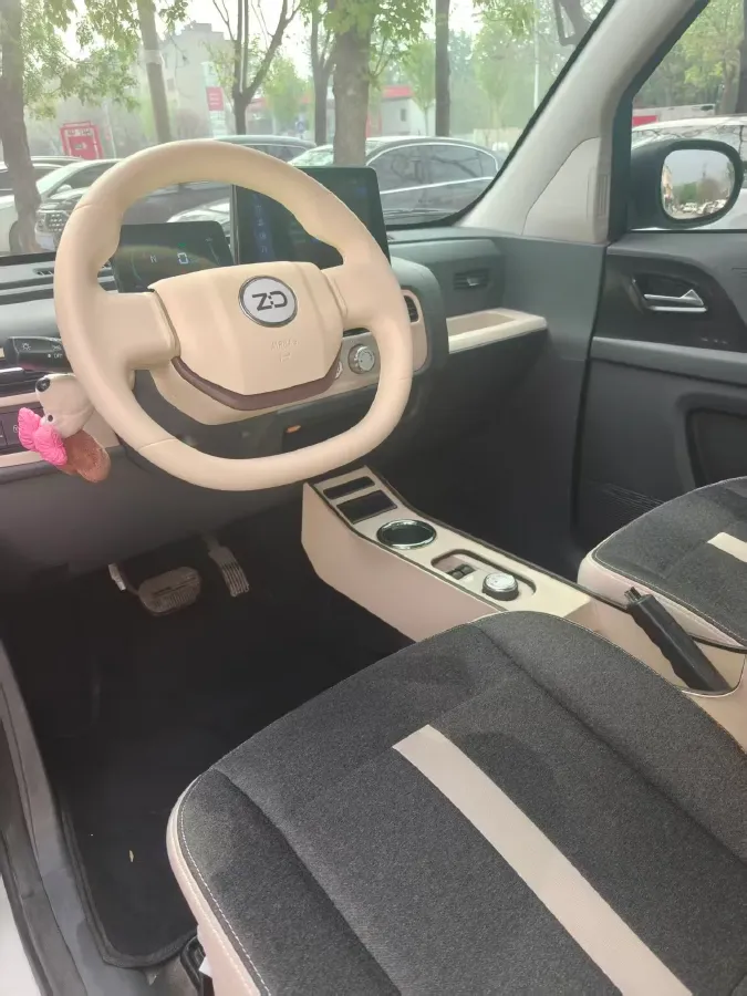 2024 ZD Rainbow BEV 17.3KWH,autocango,china used car exporter,china ev exporter,chinese used car exporter,chinese used ev exporter