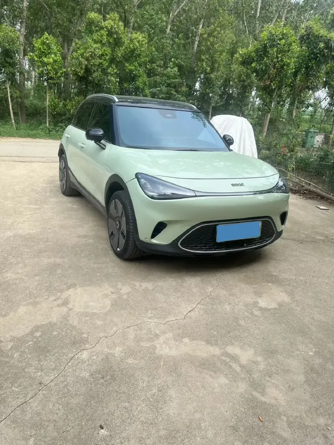 2022 Smart smart Elf 1 BEV 66KWH,autocango,china used car exporter,china ev exporter,chinese used car exporter,chinese used ev exporter