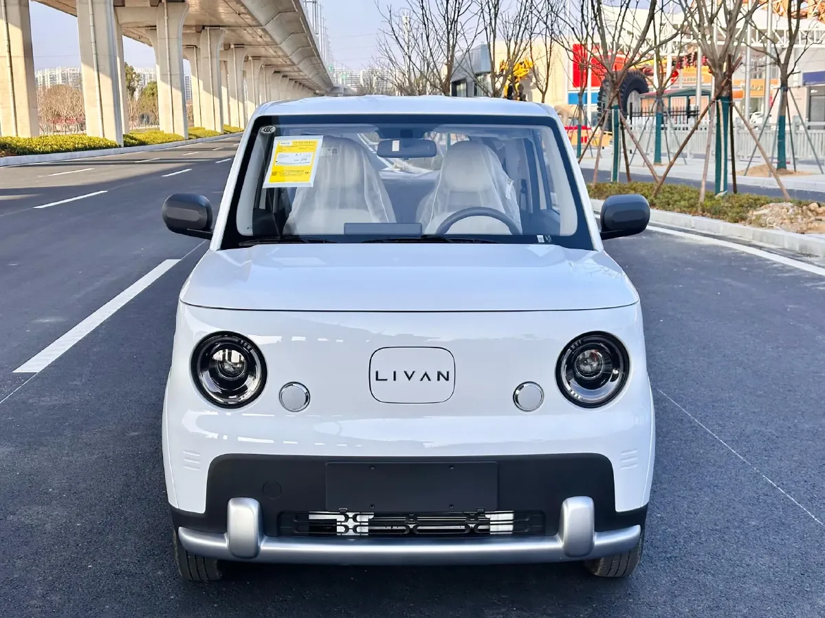 2025 Geely Lanqiqiu BEV,autocango,china used car exporter,china ev exporter,chinese used car exporter,chinese used ev exporter