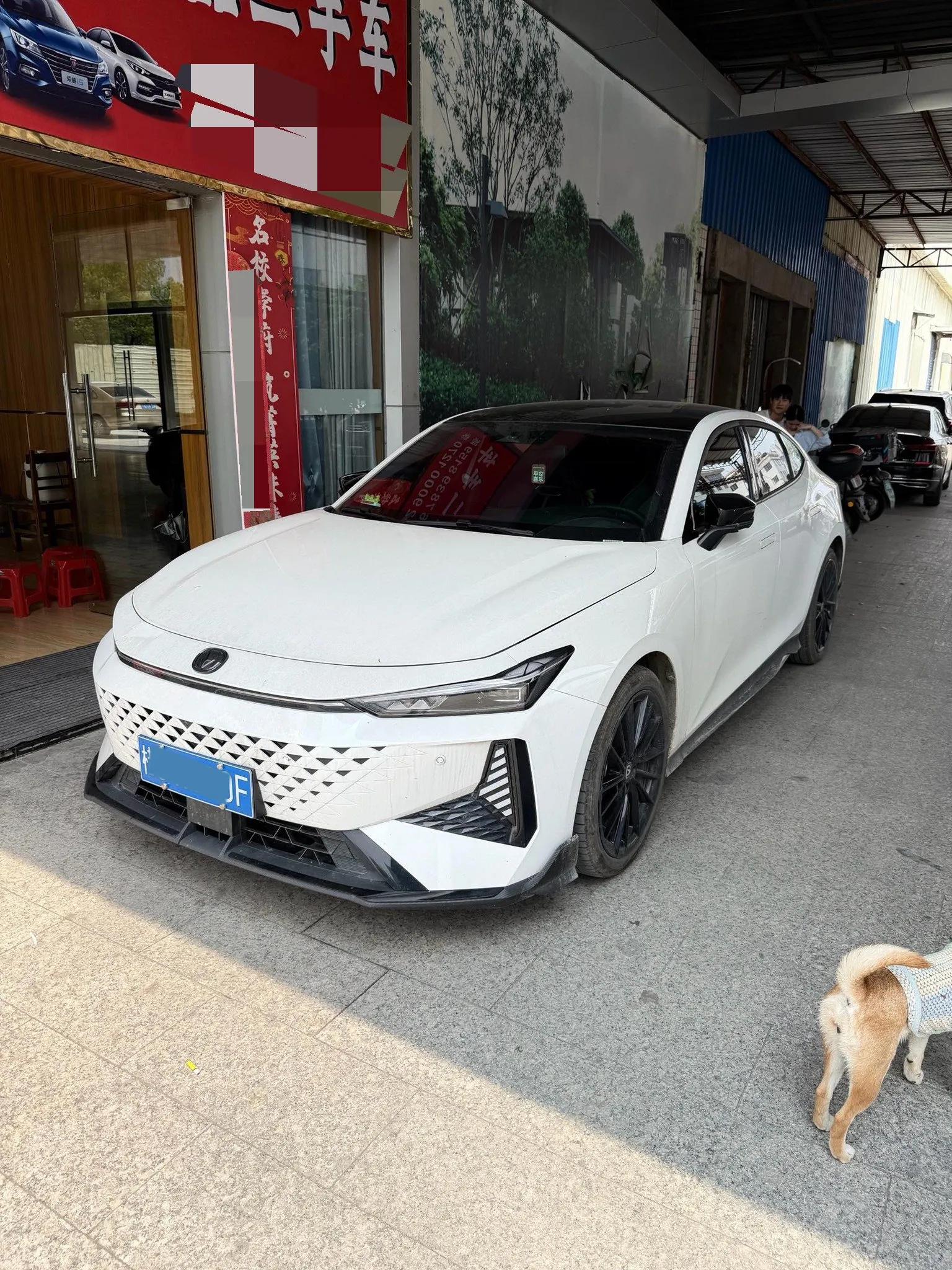 autocango,china used car exporter,china ev exporter,chinese used car exporter,chinese used ev exporter