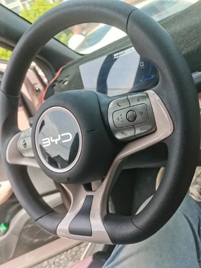 2023 BYD Seagull BEV 30.08KWH,autocango,china used car exporter,china ev exporter,chinese used car exporter,chinese used ev exporter