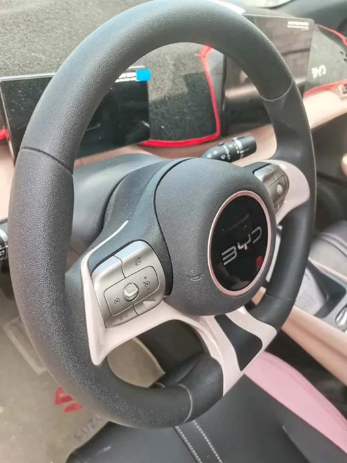 2023 BYD Seagull BEV 30.08KWH,autocango,china used car exporter,china ev exporter,chinese used car exporter,chinese used ev exporter