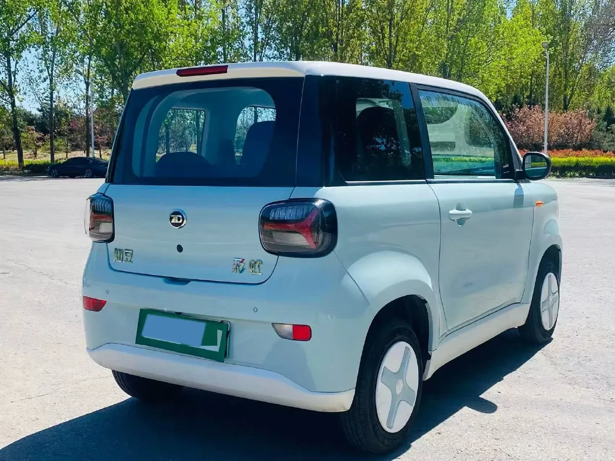 2024 ZD Rainbow BEV 17.3KWH,autocango,china used car exporter,china ev exporter,chinese used car exporter,chinese used ev exporter