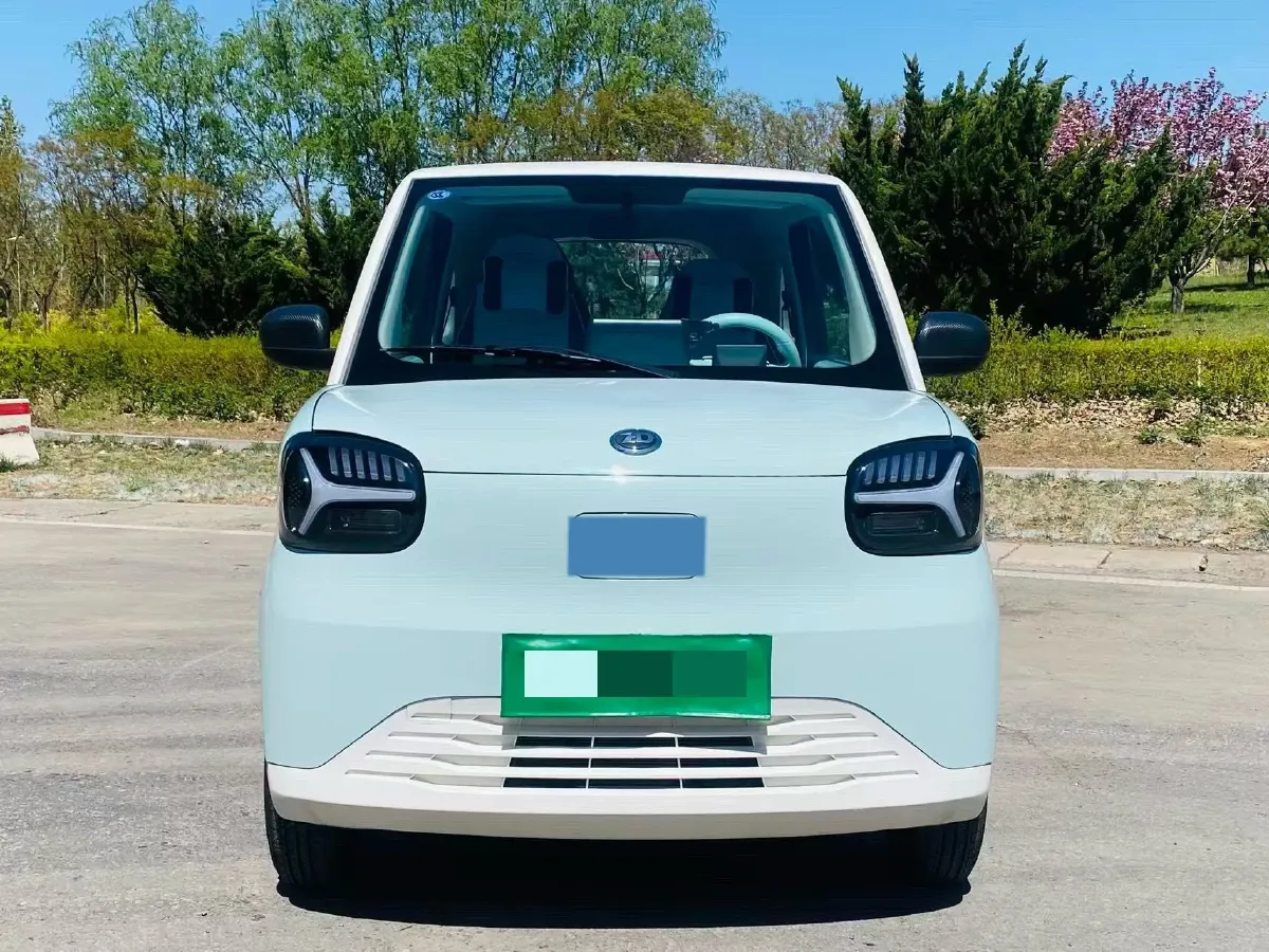 2024 ZD Rainbow BEV 17.3KWH,autocango,china used car exporter,china ev exporter,chinese used car exporter,chinese used ev exporter