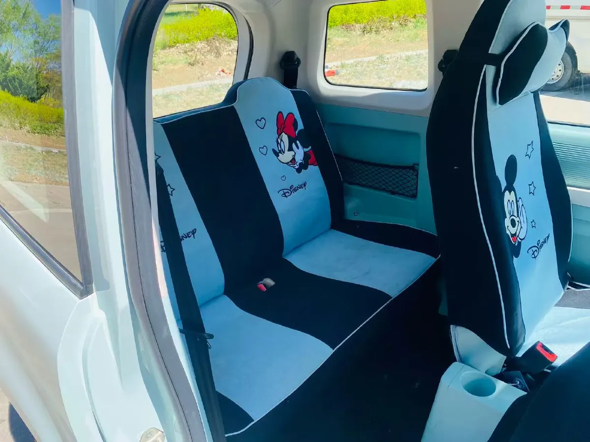 2024 ZD Rainbow BEV 17.3KWH,autocango,china used car exporter,china ev exporter,chinese used car exporter,chinese used ev exporter