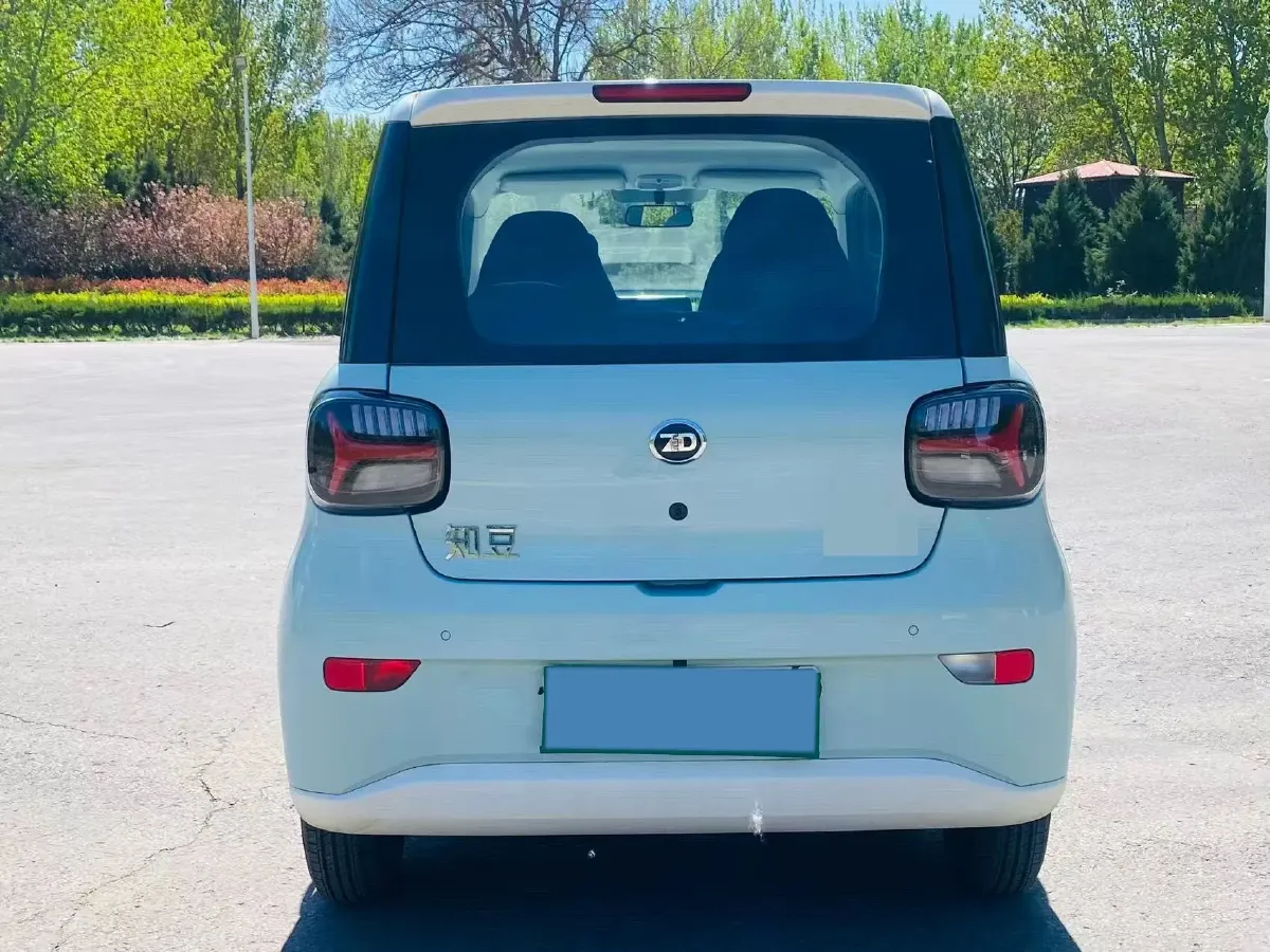 2024 ZD Rainbow BEV 17.3KWH,autocango,china used car exporter,china ev exporter,chinese used car exporter,chinese used ev exporter