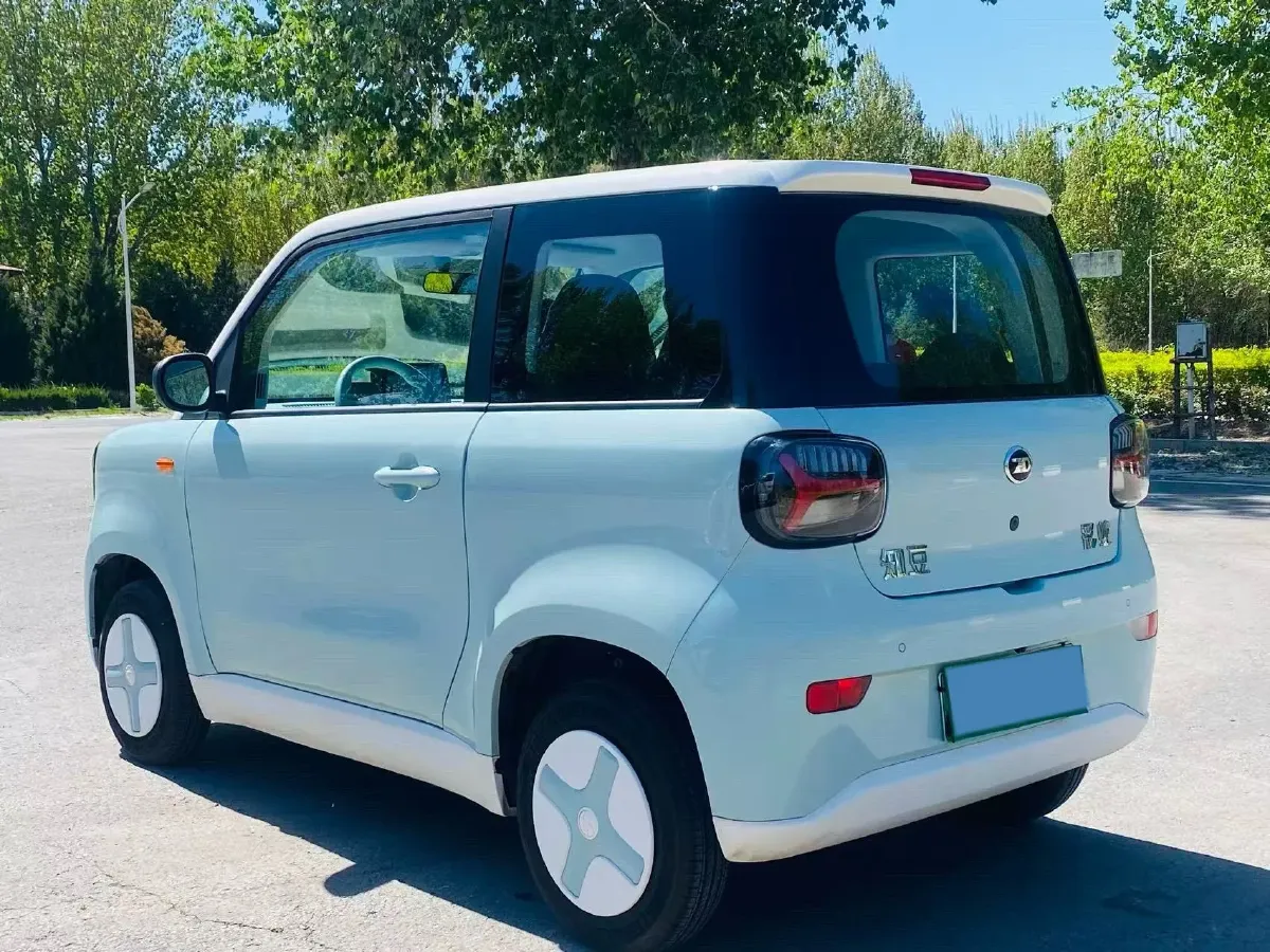 2024 ZD Rainbow BEV 17.3KWH,autocango,china used car exporter,china ev exporter,chinese used car exporter,chinese used ev exporter