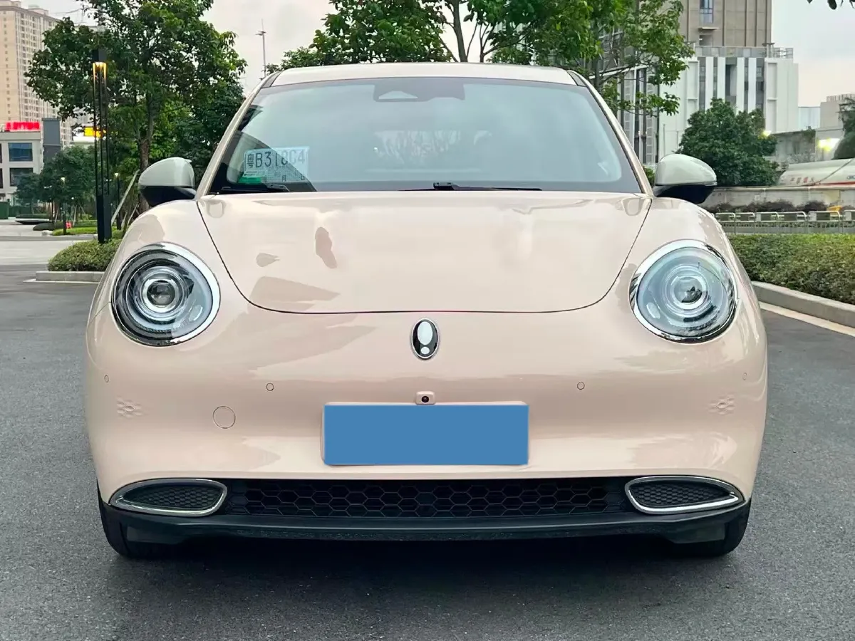 2021 Ora FunkyCat BEV 45.99KWH,autocango,china used car exporter,china ev exporter,chinese used car exporter,chinese used ev exporter