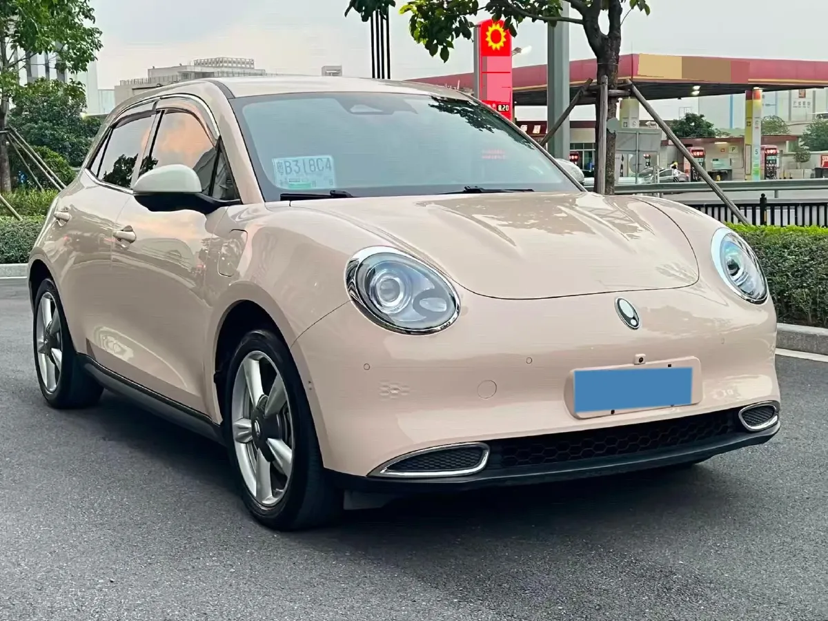 2021 Ora FunkyCat BEV 45.99KWH,autocango,china used car exporter,china ev exporter,chinese used car exporter,chinese used ev exporter
