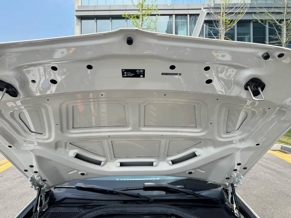 2023 BMW 3 Series 2.0T 184HP L4 8AT,autocango,china used car exporter,china ev exporter,chinese used car exporter,chinese used ev exporter