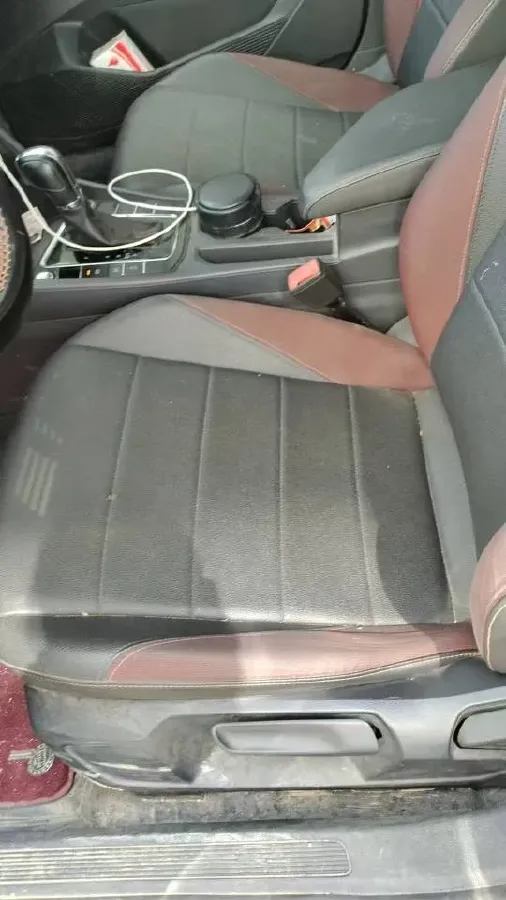 2019 Ford Focus 1.5T 184HP L3 8AT,autocango,china used car exporter,china ev exporter,chinese used car exporter,chinese used ev exporter