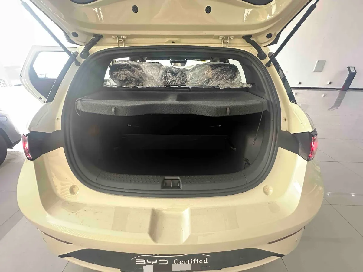 2025 BYD Dolphin BEV 45.12KWH,autocango,china used car exporter,china ev exporter,chinese used car exporter,chinese used ev exporter