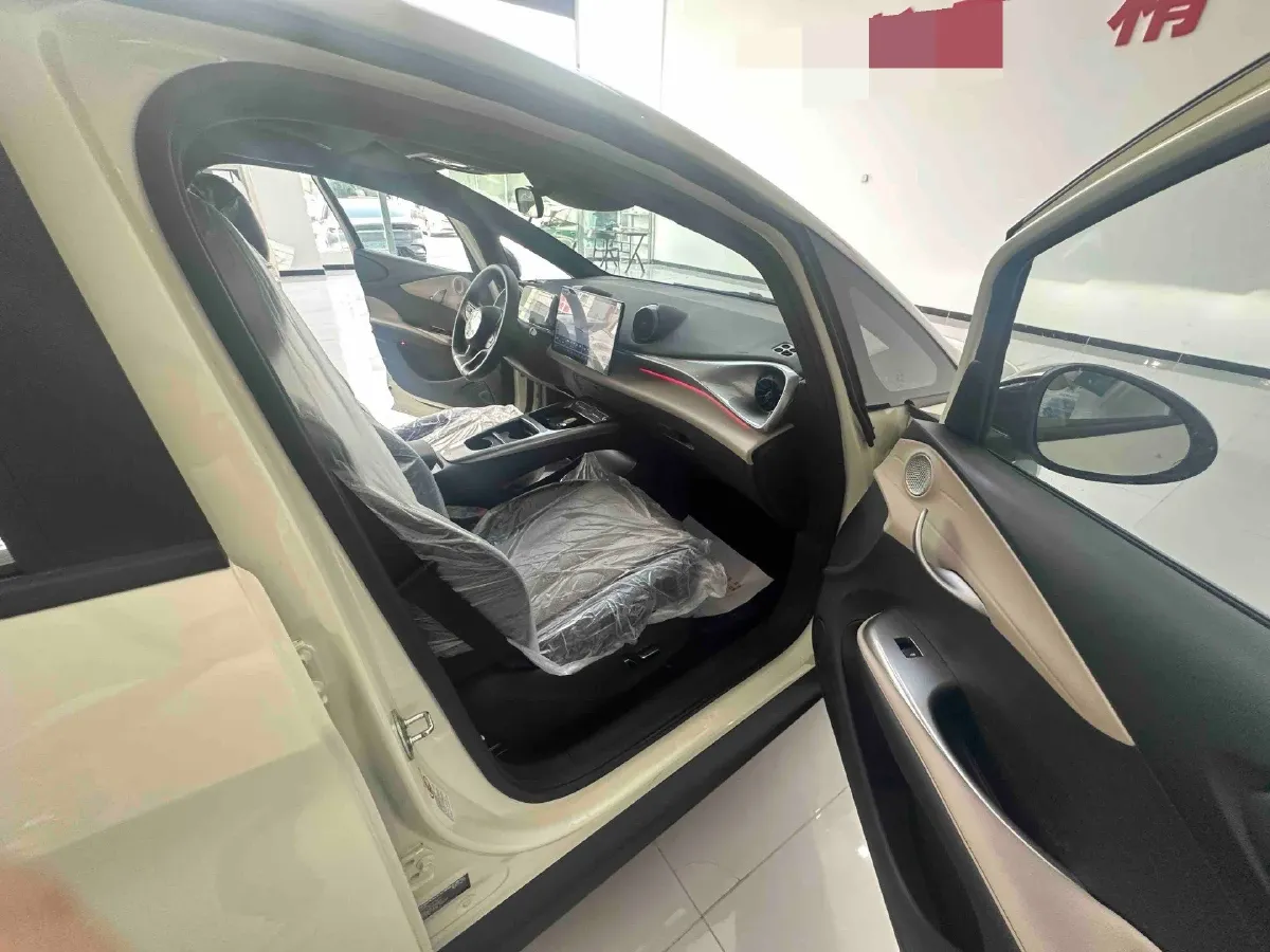 2025 BYD Dolphin BEV 45.12KWH,autocango,china used car exporter,china ev exporter,chinese used car exporter,chinese used ev exporter