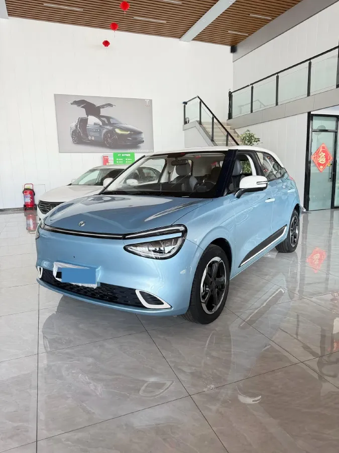 2024 DongFeng Nammi 01 BEV 42.3KWH,autocango,china used car exporter,china ev exporter,chinese used car exporter,chinese used ev exporter
