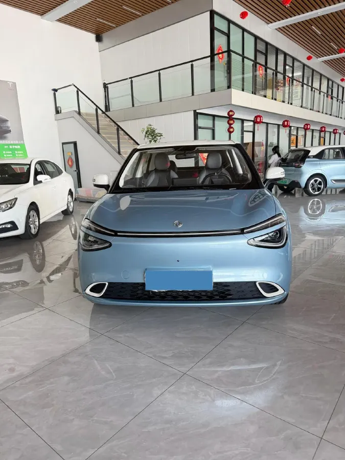 2024 DongFeng Nammi 01 BEV 42.3KWH,autocango,china used car exporter,china ev exporter,chinese used car exporter,chinese used ev exporter