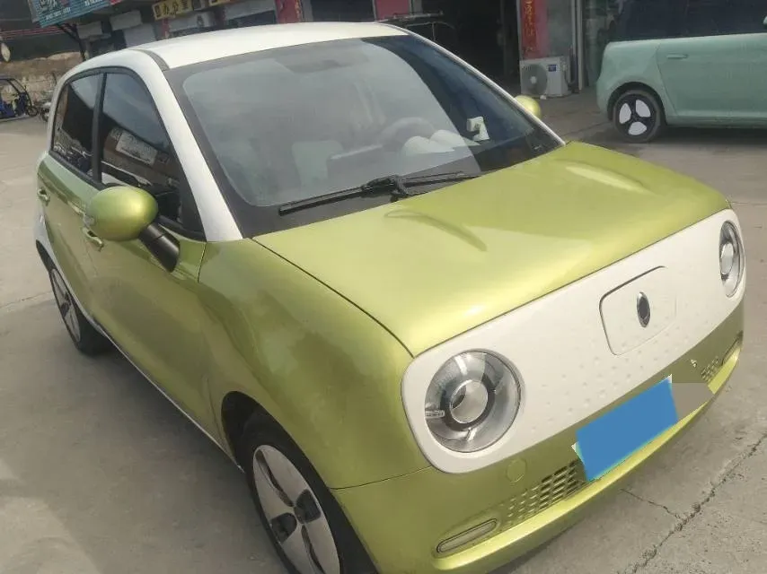 2021 Ora BlackCat BEV 28.5KWH,autocango,china used car exporter,china ev exporter,chinese used car exporter,chinese used ev exporter