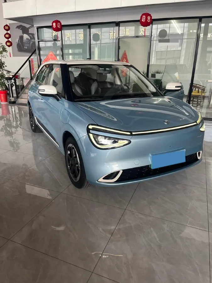 2024 DongFeng Nammi 01 BEV 42.3KWH,autocango,china used car exporter,china ev exporter,chinese used car exporter,chinese used ev exporter