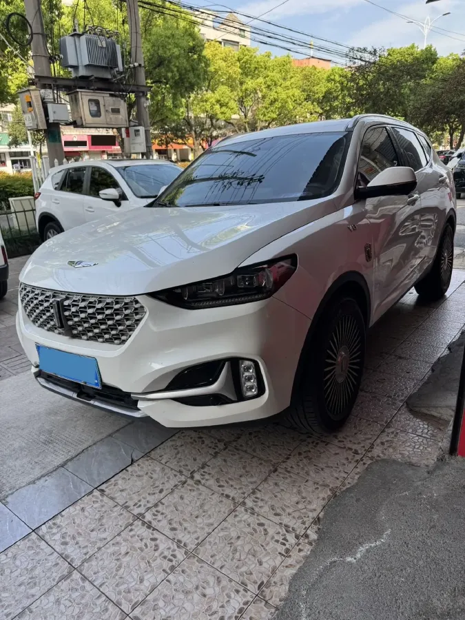 2021 WEY VV6 2.0T 227HP L4 7DCT,autocango,china used car exporter,china ev exporter,chinese used car exporter,chinese used ev exporter