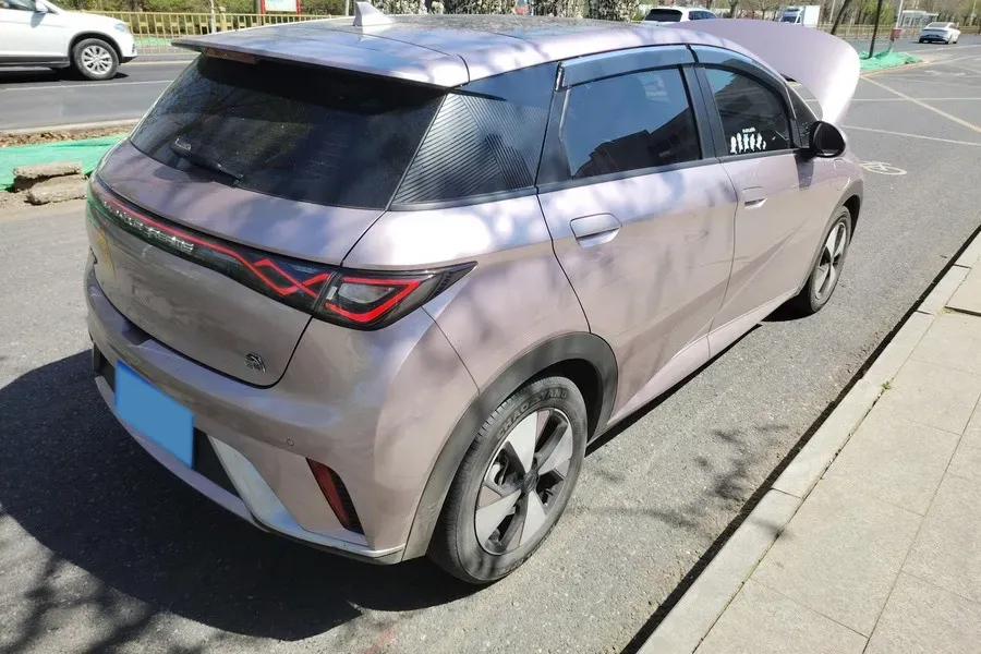 2023 BYD Dolphin BEV 44.928KWH,autocango,china used car exporter,china ev exporter,chinese used car exporter,chinese used ev exporter