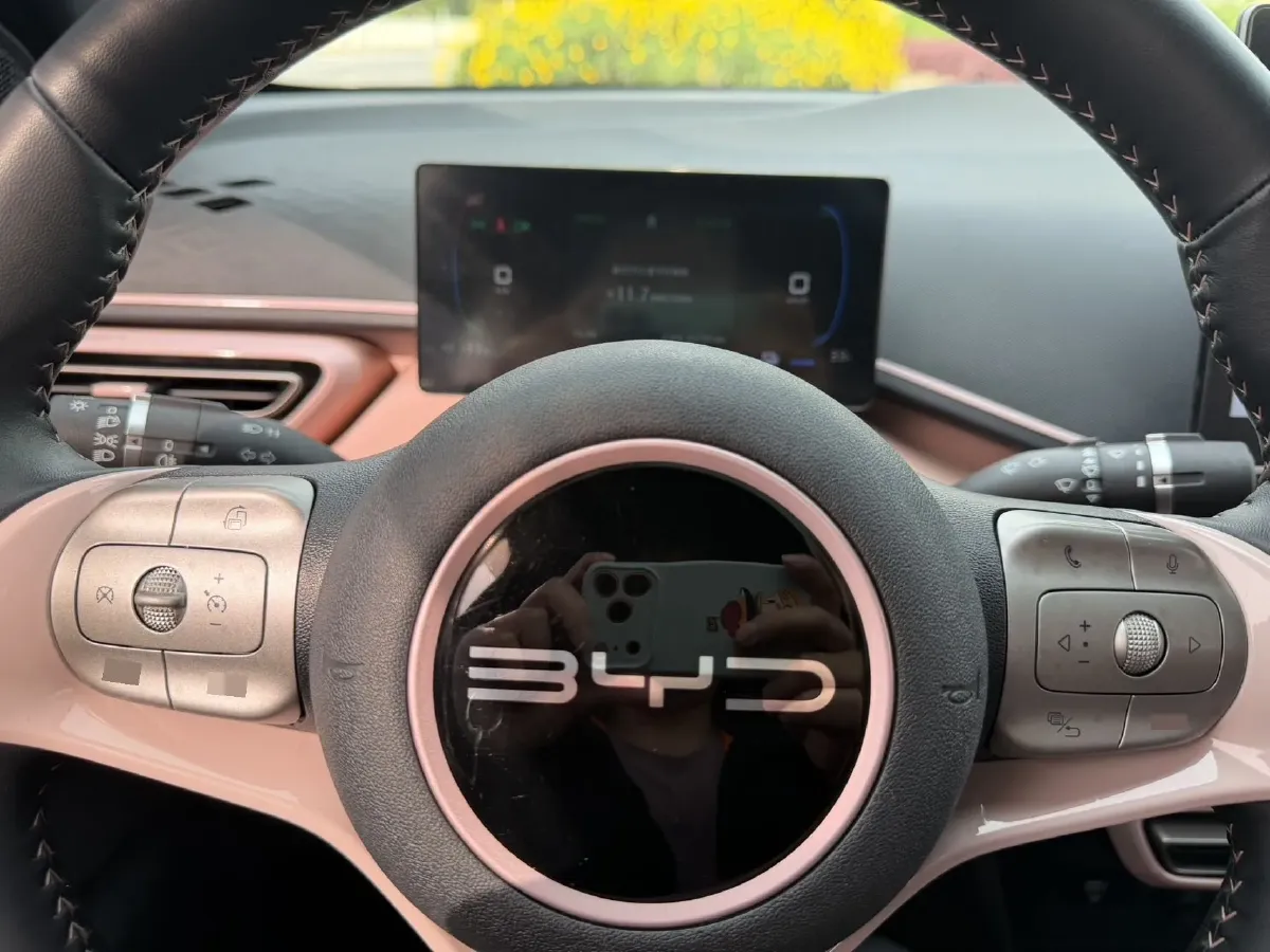 2023 BYD Seagull BEV 38.88KWH,autocango,china used car exporter,china ev exporter,chinese used car exporter,chinese used ev exporter