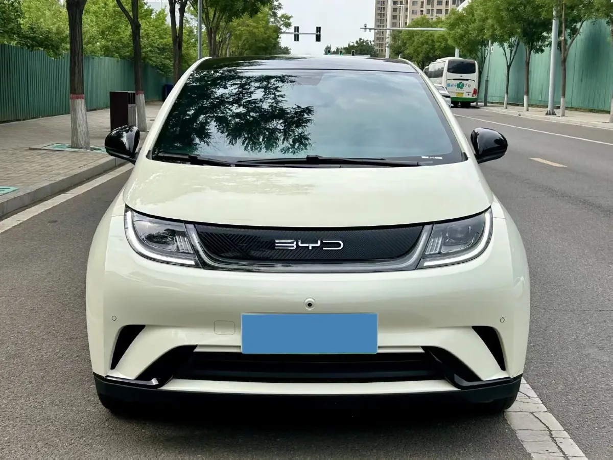 2023 BYD Dolphin BEV 44.928KWH,autocango,china used car exporter,china ev exporter,chinese used car exporter,chinese used ev exporter