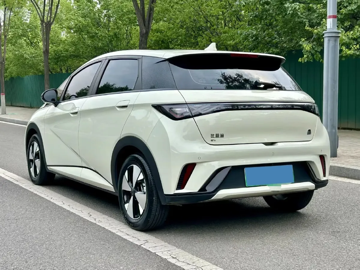 2023 BYD Dolphin BEV 44.928KWH,autocango,china used car exporter,china ev exporter,chinese used car exporter,chinese used ev exporter