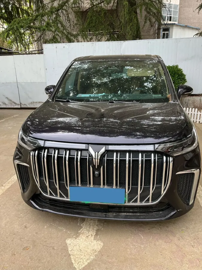 2022 Voyah Dream 1.5T 136HP L4 PHEV 25.57KWH,autocango,china used car exporter,china ev exporter,chinese used car exporter,chinese used ev exporter