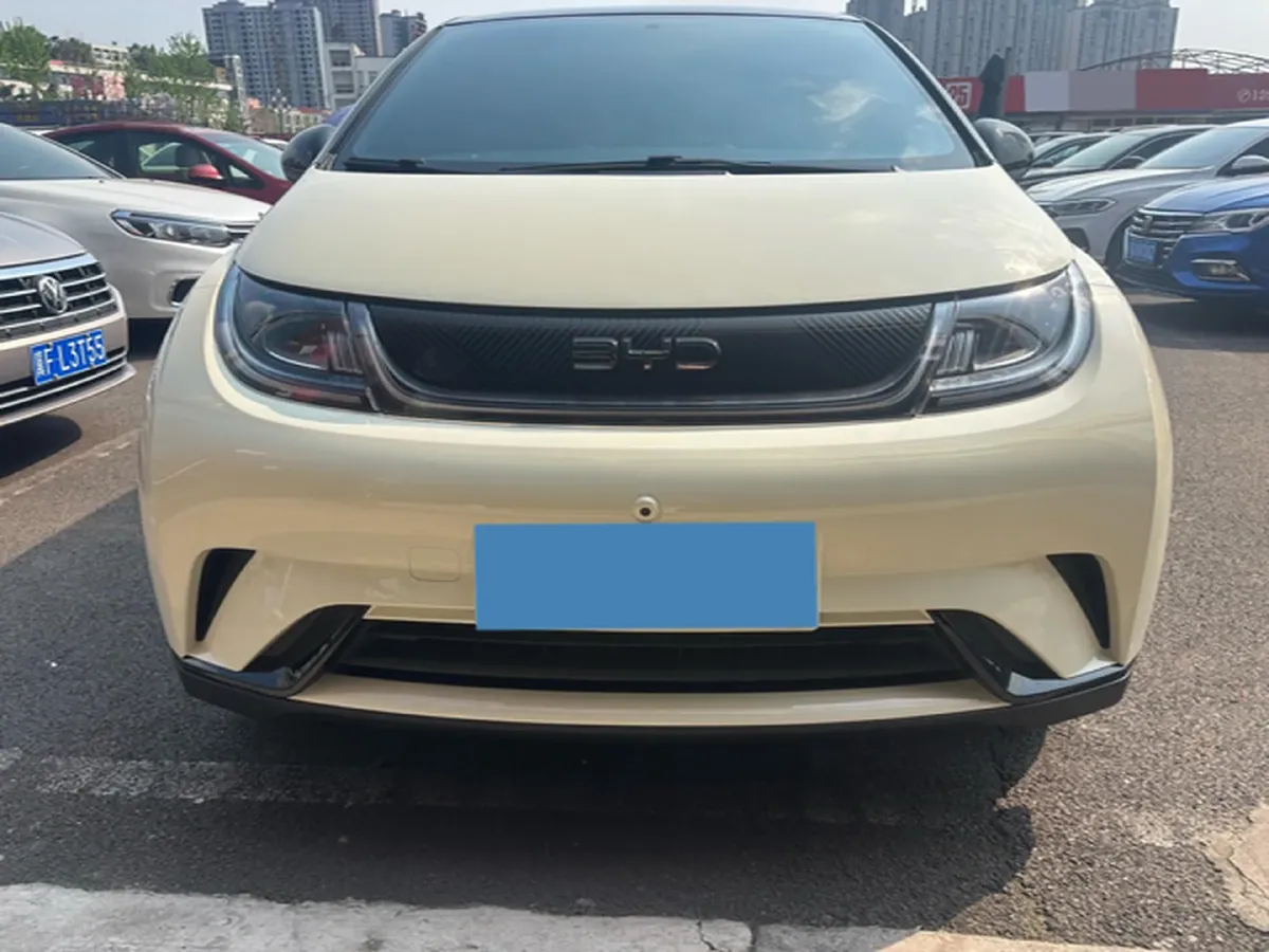 2025 BYD Dolphin BEV 44.928KWH,autocango,china used car exporter,china ev exporter,chinese used car exporter,chinese used ev exporter