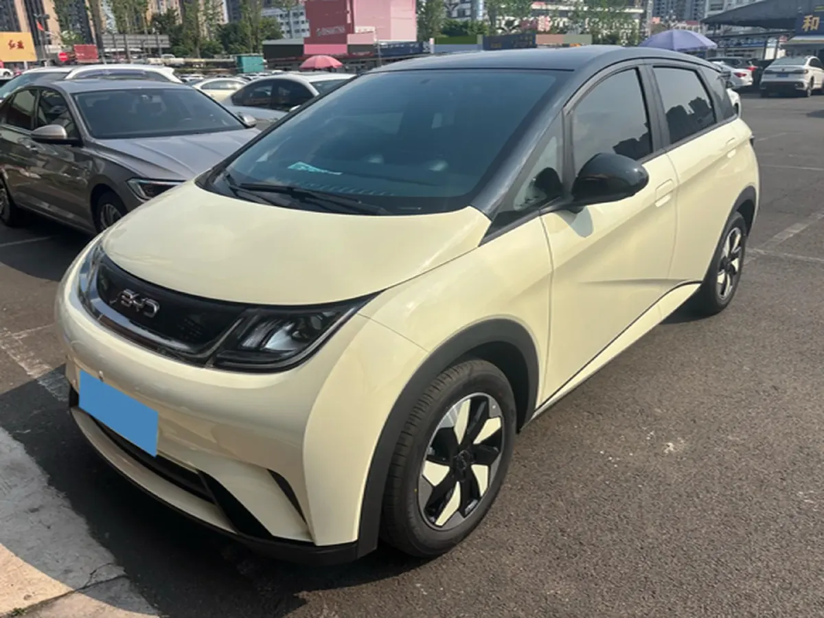 2025 BYD Dolphin BEV 44.928KWH,autocango,china used car exporter,china ev exporter,chinese used car exporter,chinese used ev exporter