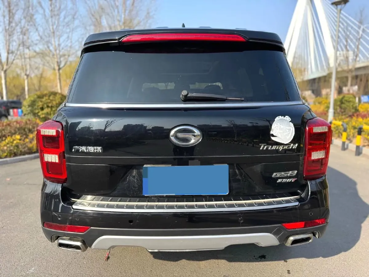 2019 GAC Trumpchi GS8 2.0T 252HP L4 6AT,autocango,china used car exporter,china ev exporter,chinese used car exporter,chinese used ev exporter