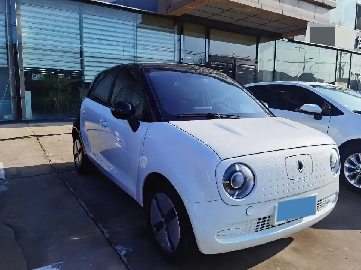 2021 Ora BlackCat BEV 28.5KWH,autocango,china used car exporter,china ev exporter,chinese used car exporter,chinese used ev exporter