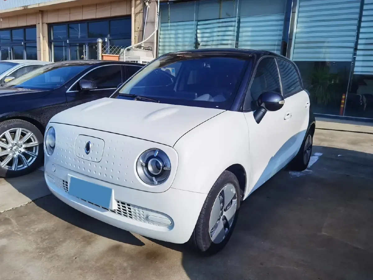 2021 Ora BlackCat BEV 28.5KWH,autocango,china used car exporter,china ev exporter,chinese used car exporter,chinese used ev exporter