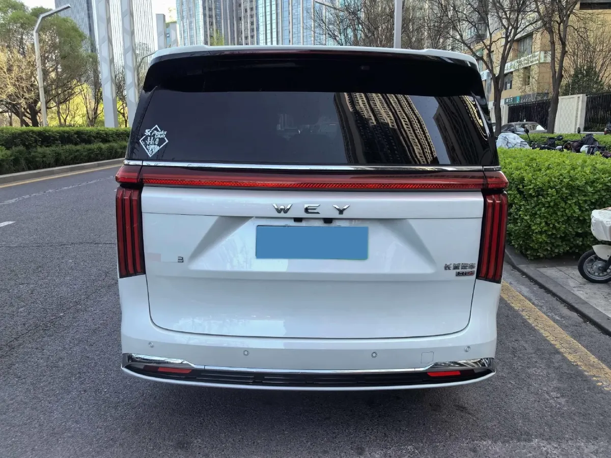 2025 WEY HighMountain 1.5T 170HP L4 4DHT PHEV,autocango,china used car exporter,china ev exporter,chinese used car exporter,chinese used ev exporter