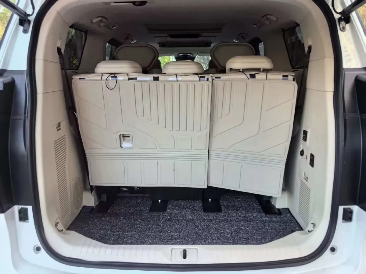 2025 WEY HighMountain 1.5T 170HP L4 4DHT PHEV,autocango,china used car exporter,china ev exporter,chinese used car exporter,chinese used ev exporter